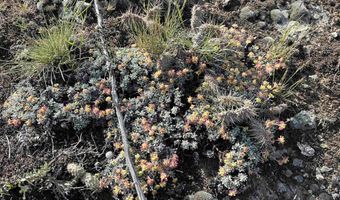 1403 Eighteen Mile Rd, Bancroft, ID 83217