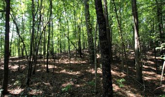 000 Sorrell Rd, Benton, AR 72015