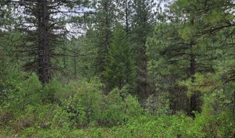 Lot 12 Payette River Ranch, Banks, ID 83602