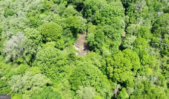 County Road 231, Abbeville, AL 36310