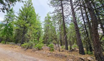 13559 Sparrow Dr, Bonanza, OR 97623
