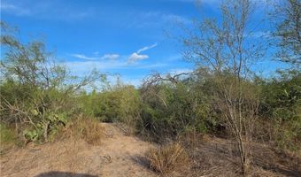 0 E St. Jude Ave, Alton, TX 78573