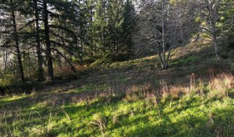 17360 MOUNTAIN Dr, Brookings, OR 97415