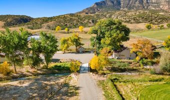 929 2150 Rd, Battlement Mesa, CO 81650