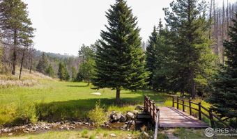 27667 Buckhorn Rd, Bellvue, CO 80512