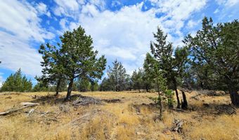 Canvasback Drive 28, Bonanza, OR 97623