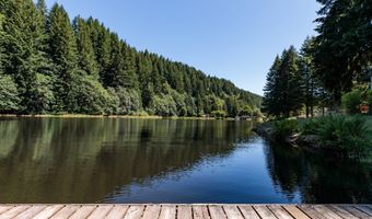 9956 BEACH Dr, Birkenfeld, OR 97016