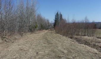 Burton Hill Road, Barton, VT 05822