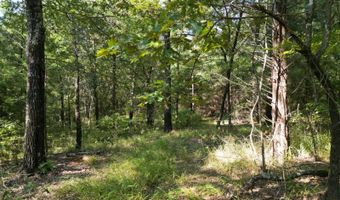 7 N Hall Rd, Antlers, OK 74523