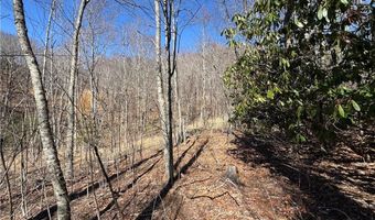 Lot # 70 Tall Tree Lane, Banner Elk, NC 28604