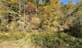 Kidd Fork, Banner, KY 41603