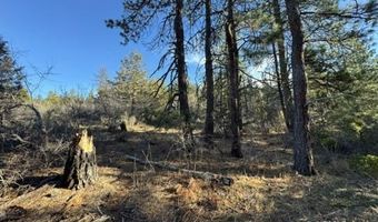 Hummingbird Dr, Bonanza, OR 97623