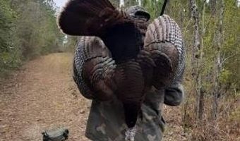 259 Forest Lake Rd, Beaumont, MS 39423