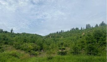Northrup Creek Rd, Birkenfeld, OR 97016