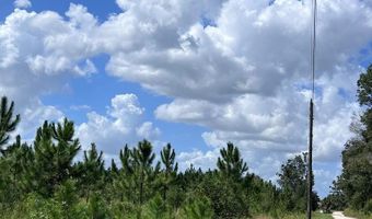 00 50th Ave, Bell, FL 32619