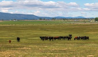 10771 E Langell Valley Rd, Bonanza, OR 97623