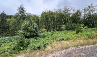 3 N DUBOIS Rd, Ariel, WA 98603