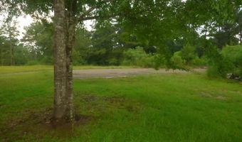 967 SE Bogue Chitto Rd, Bogue Chitto, MS 39629
