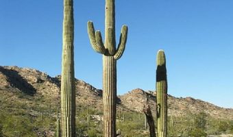 240 S Alley Rd, Ajo, AZ 85321