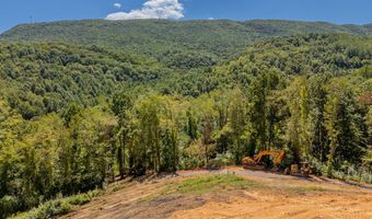 Lot 20 Clear Fork Creek Road, Bastian, VA 24314