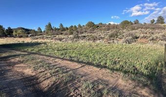 Lot 15 Primrose Lane, Bayfield, CO 81122