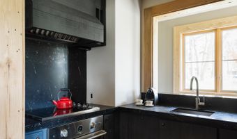 115 Meadowlark Ln, Aspen, CO 81611