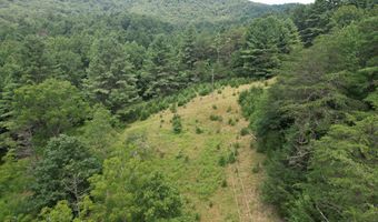 Hall Hollow Road, Austinville, VA 24312