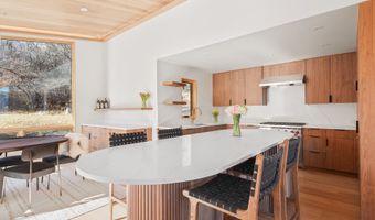 120 Turtle Cv, Aspen, CO 81611