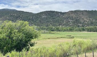 USFS RD 613, Arboles, CO 81147