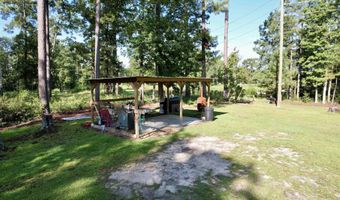 317 Wheeler Rd, Andrews, SC 29510