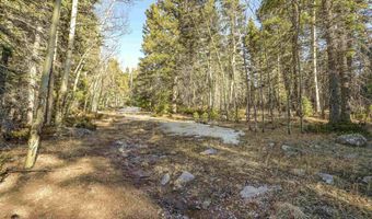 1004 And 1005 El Camino Real, Angel Fire, NM 87710