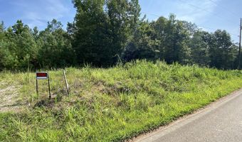 1258 Otis Paine Rd, Bethel Springs, TN 38315