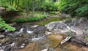 125 Ahart Ridge Rd 163, Ararat, VA 24053
