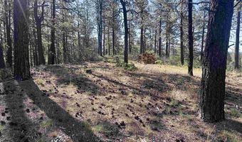 782 Hawks Meadow Dr, Bayfield, CO 81122
