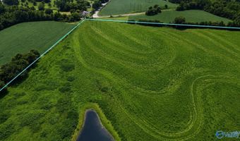 38 Acres Hershell Jones Rd, Arab, AL 35016