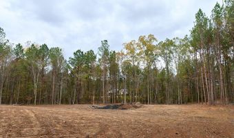 00002 Trickhambridge Rd, Brandon, MS 39042