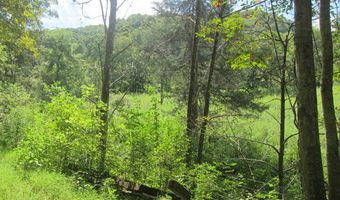 43 Sanctuary Ln, Alderson, WV 24910