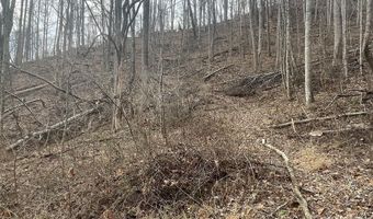 Martins Creek Road, Barnardsville, NC 28709