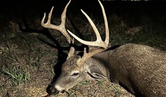 22 Hwy, Adamsville, TN 38310