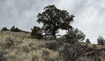 Wall Canyon Reservoir Road, Gerlach, NV 89412