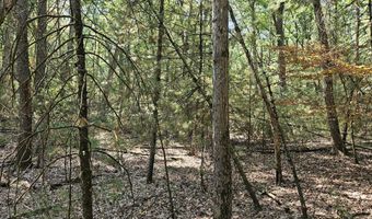 Lot 36 Wildwood Drive, Allegan, MI 49010