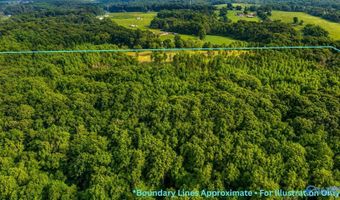 58 Acres Naples Ln, Arab, AL 35016
