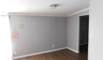 10302 Stage Coach Rd, Baconton, GA 31716