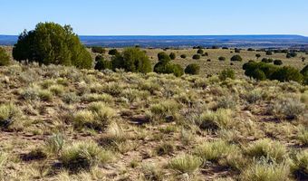 River Meadows Ranch Unit 3 Lot 204, Concho, AZ 85924