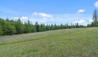 Nna Mesa Drive, Careywood, ID 83809