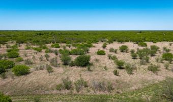 FM 735, Alice, TX 78332