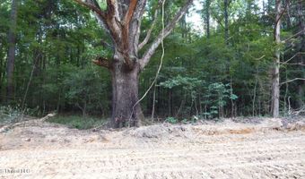 504 247 Country Rd, Bruce, MS 38915