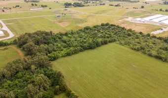 21402 Lawrence 2192, Aurora, MO 65605