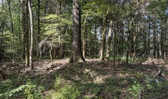 Pine Lodge Road, Batesville, MS 38606