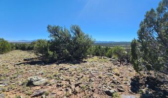 85 N 8522, Concho, AZ 85924